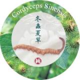 【1038】Products-Herbal 草本植物產品