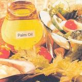 【2025】Oils & Oilseeds  油脂油料