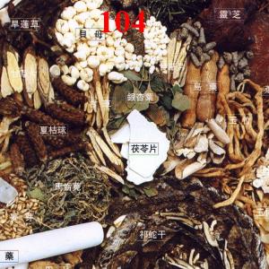 【1020】Chinese Herb 中草藥材