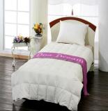 【3003】Articles for Bed Room 睡房用品